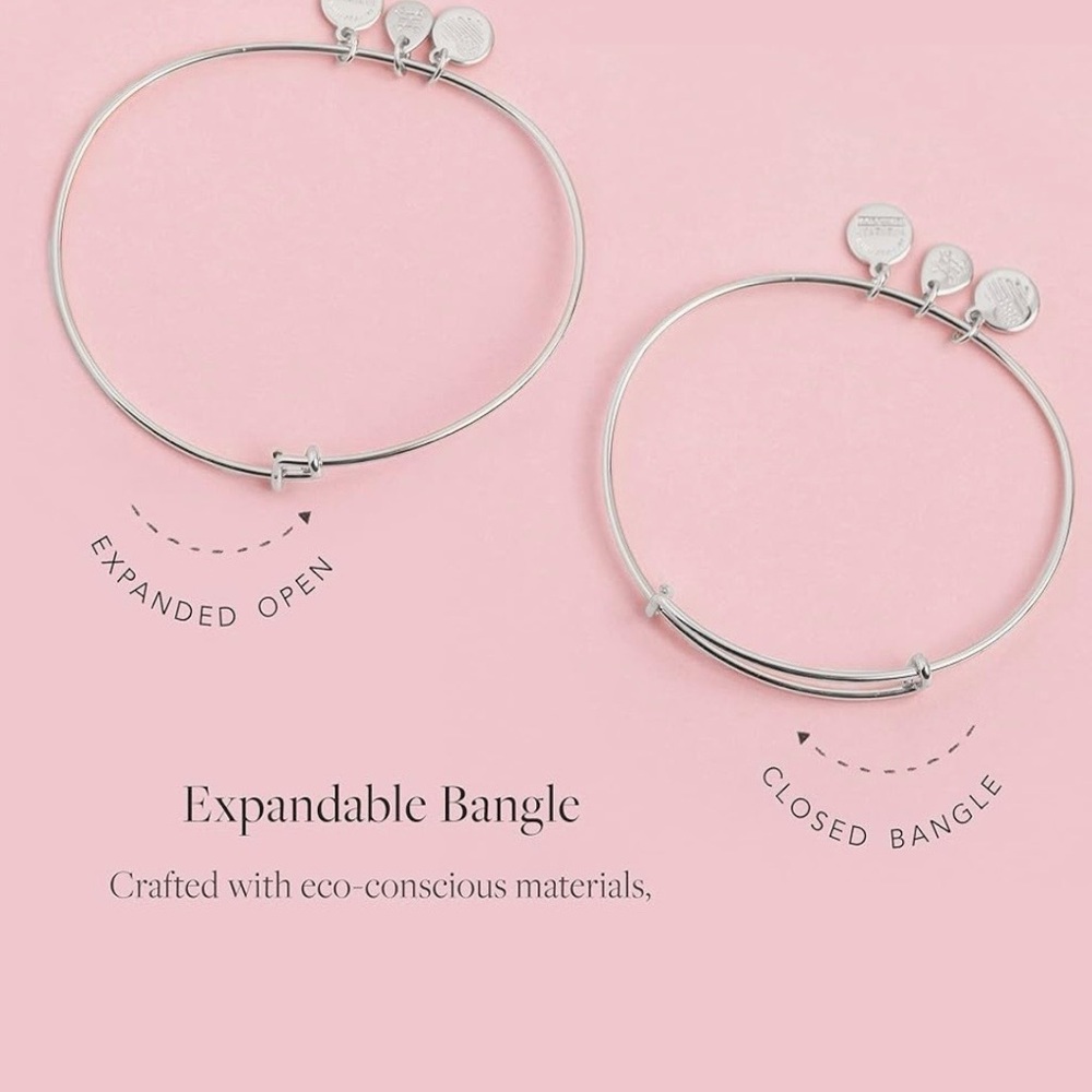 Alex and Ani Sunflower Charm Bangle - Picture 2 of 4